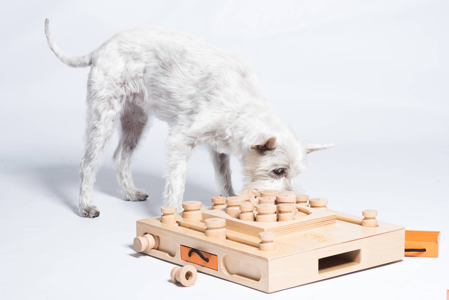Turtle Dog Puzzle | My Intelligent Dogs