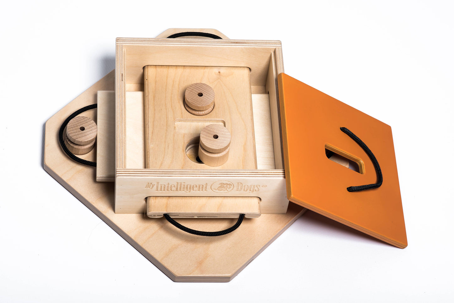 Trouble Dog Puzzle | My Intelligent Dogs