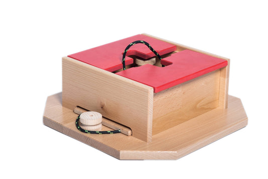 Swiss Qube Dog Puzzle | My Intelligent Dogs