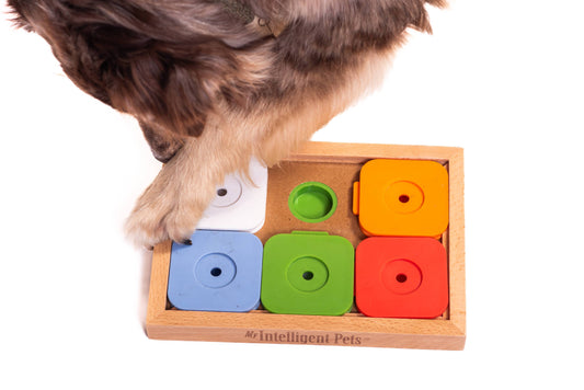 Sudoku Medium Advanced Color Puzzle | My Intelligent Dogs