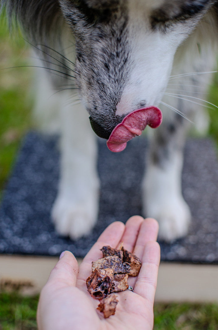 Single-Ingredient Dried Pork Lung Dog Treats | Dogshmallows