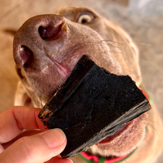 Single-Ingredient Training Dog Treats with Beef | Beef Brownies