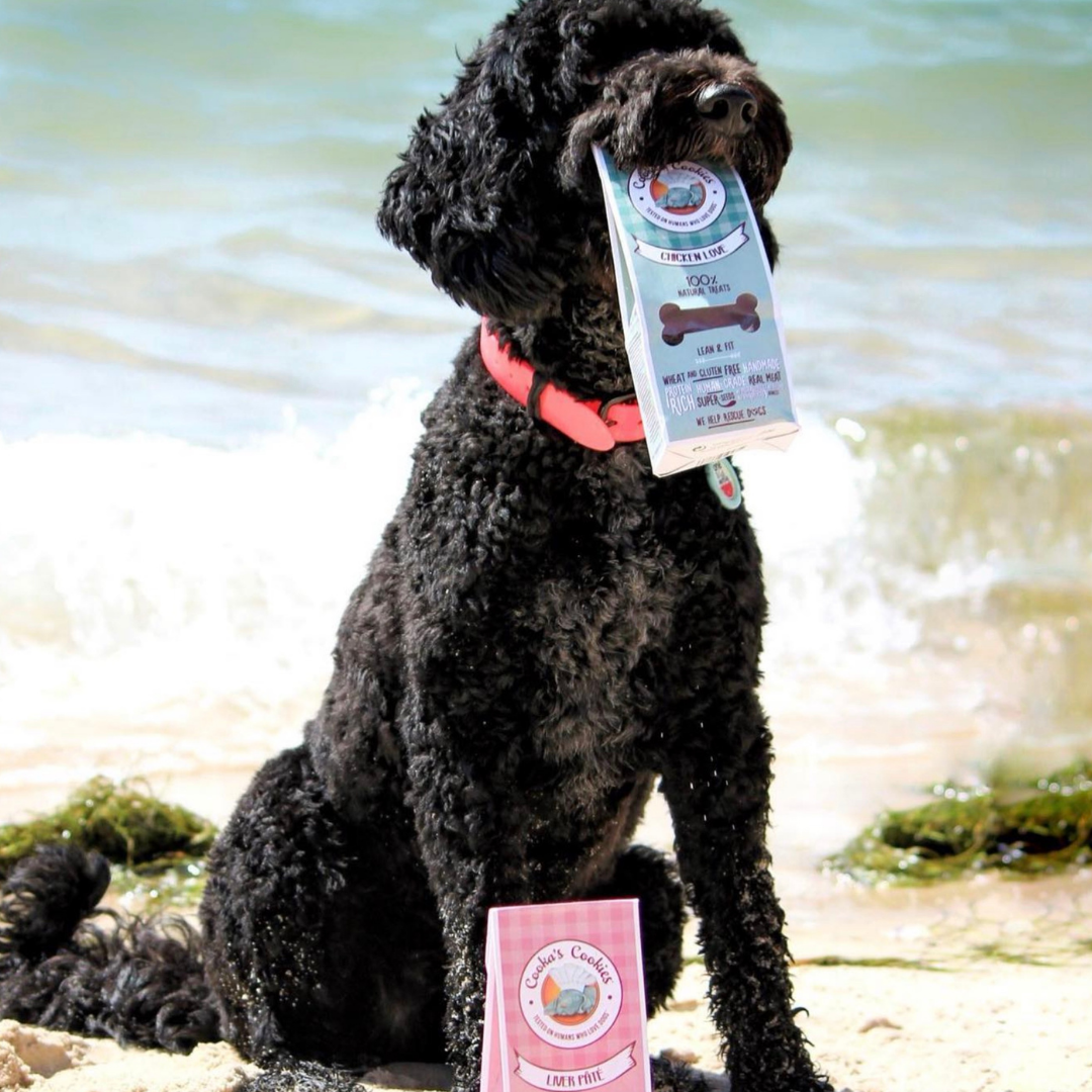 Human-Grade Baked Biscuits Dog Treats for Optimal Health | Chicken Love