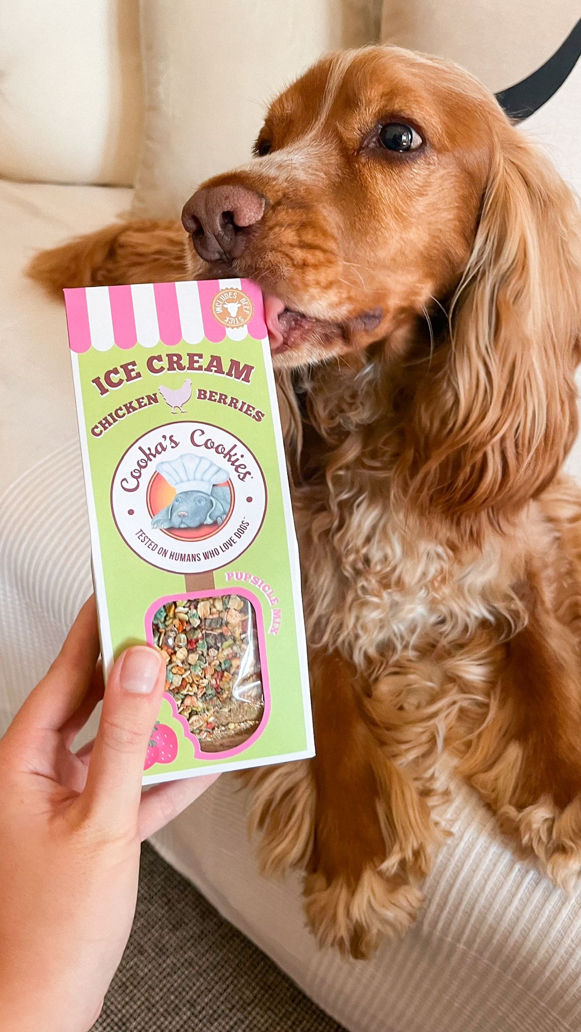 Natural Frozen Dog Treat with Chicken, Coconut and Dogfetti | Ice Cream Mix