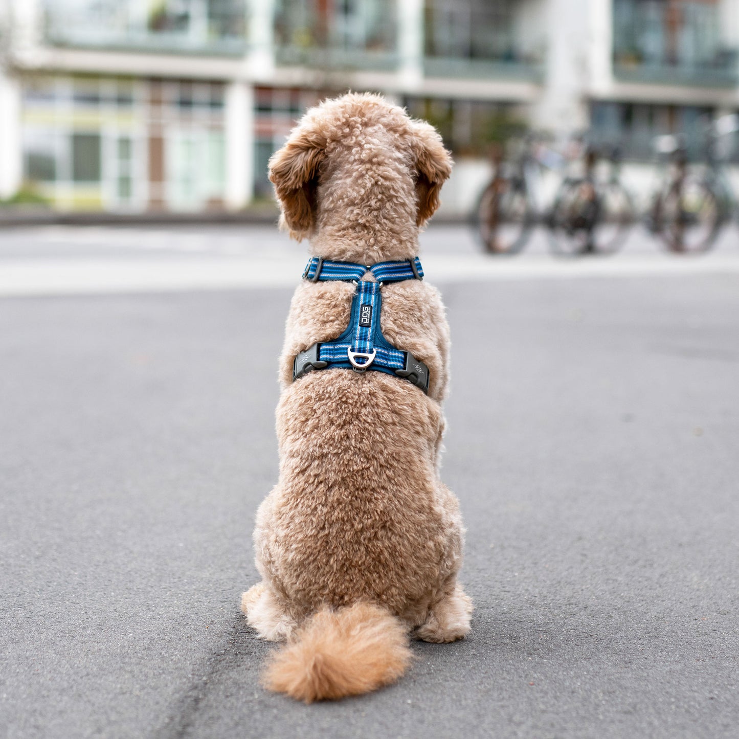 DOG Copenhagen Comfort Walk Air™ Harness