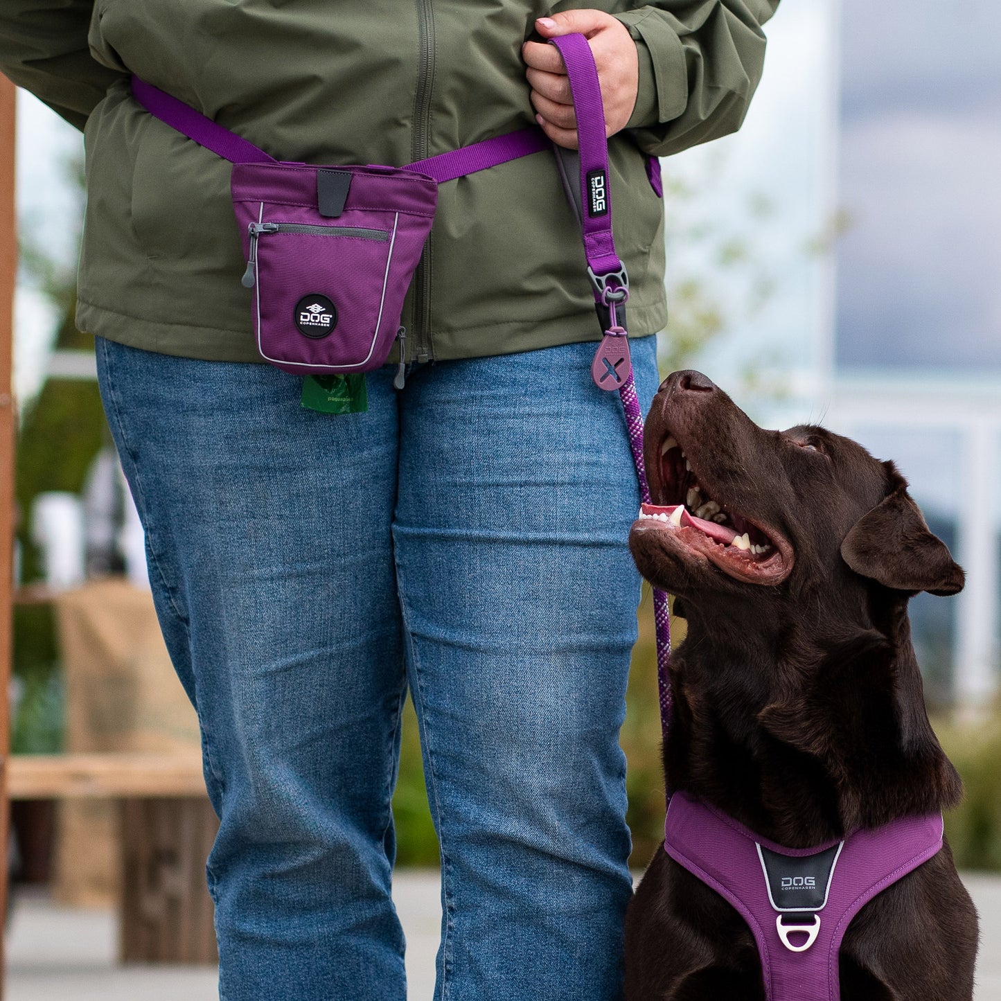 DOG Copenhagen Go Explore™ Treat Bag