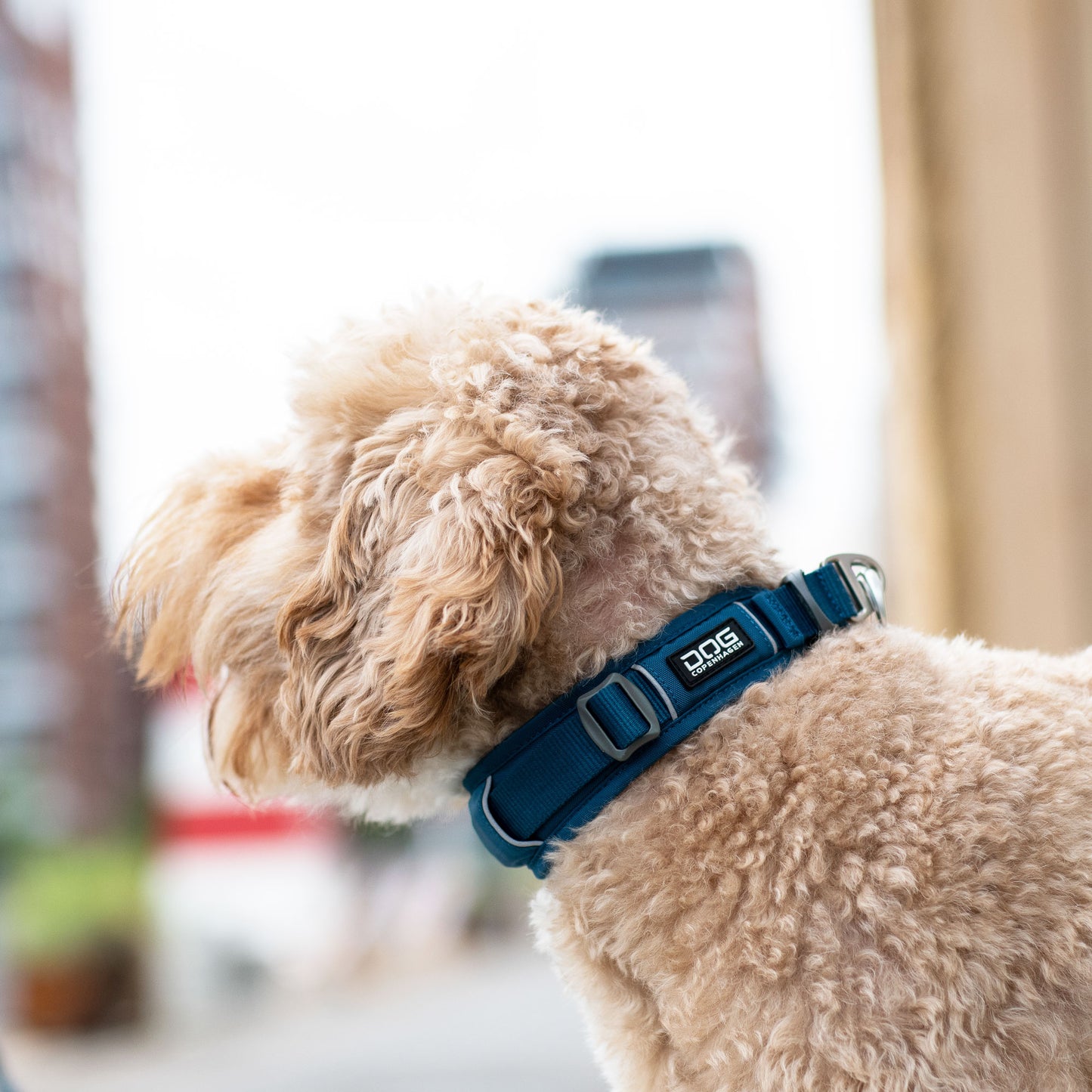 DOG Copenhagen Urban Explorer™ Collar