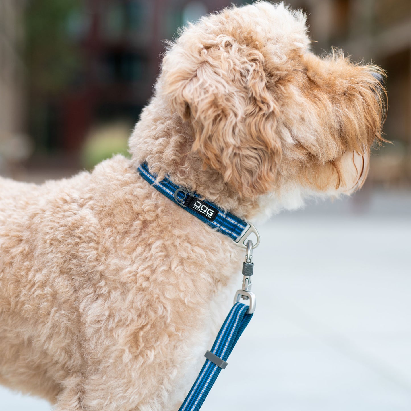 DOG Copenhagen Urban Style™ Collar