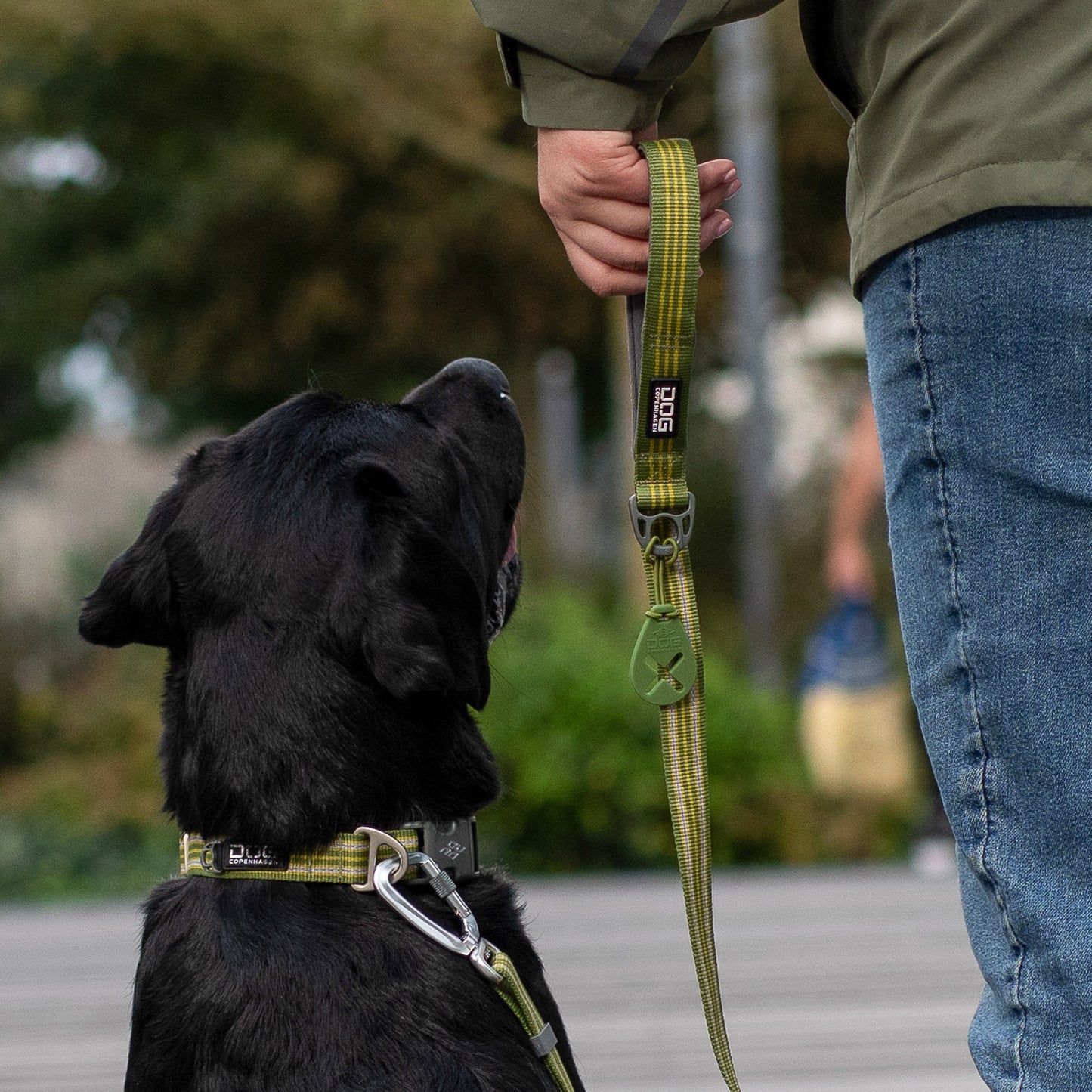 DOG Copenhagen Urban Style™ Collar