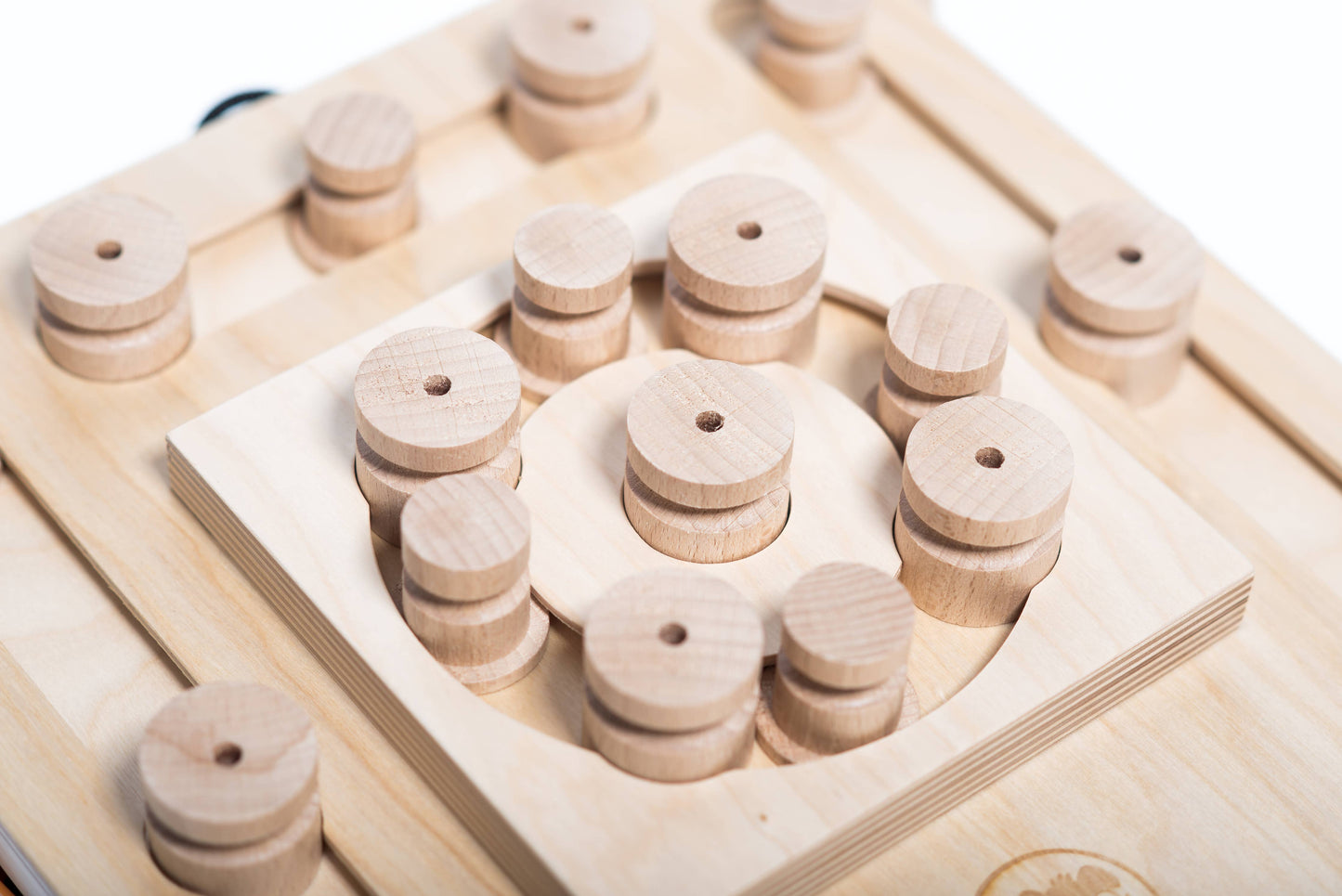 Turtle Dog Puzzle | My Intelligent Dogs