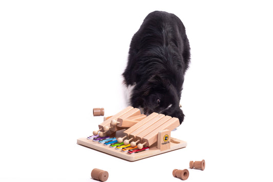 Piano Dog Puzzle | My Intelligent Dogs