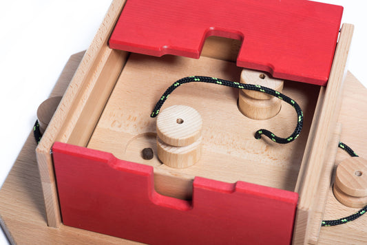 Swiss Qube Dog Puzzle | My Intelligent Dogs