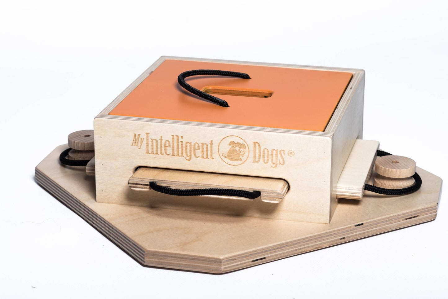 Trouble Dog Puzzle | My Intelligent Dogs