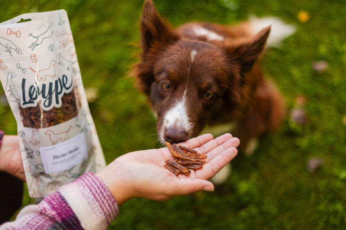 Soft, hot-air dried lamb chunk dog treats for senior dogs and picky eaters