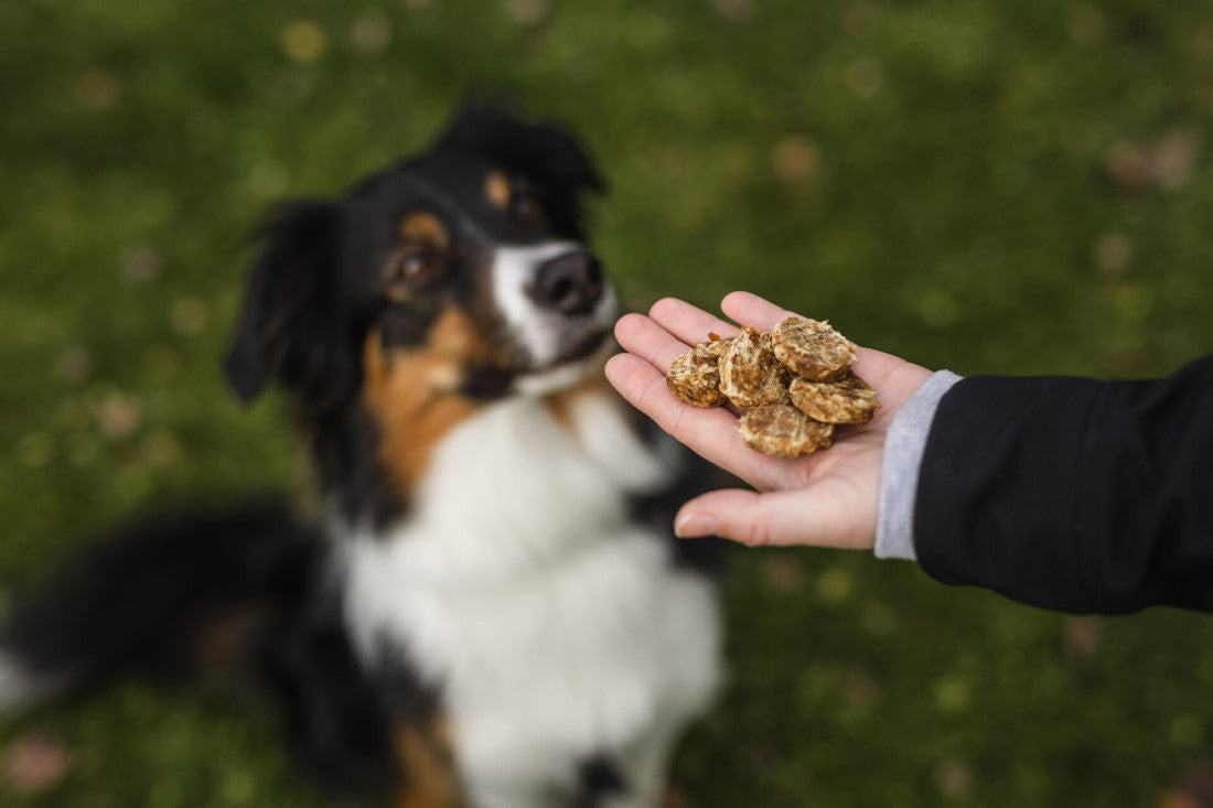 100% pure duck breast chip dog treats, Quacky Coins, low-fat and high-protein
