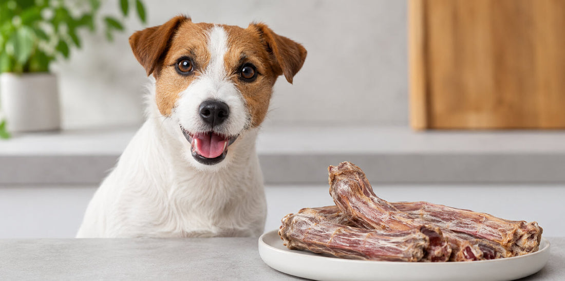 Transform Teeth Fast With Natural Duck Necks for Dogs