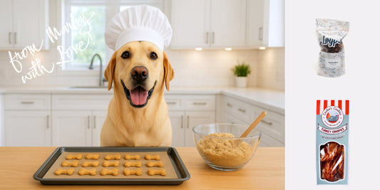 Using Reward Value to Shape Your Dog’s Behavior