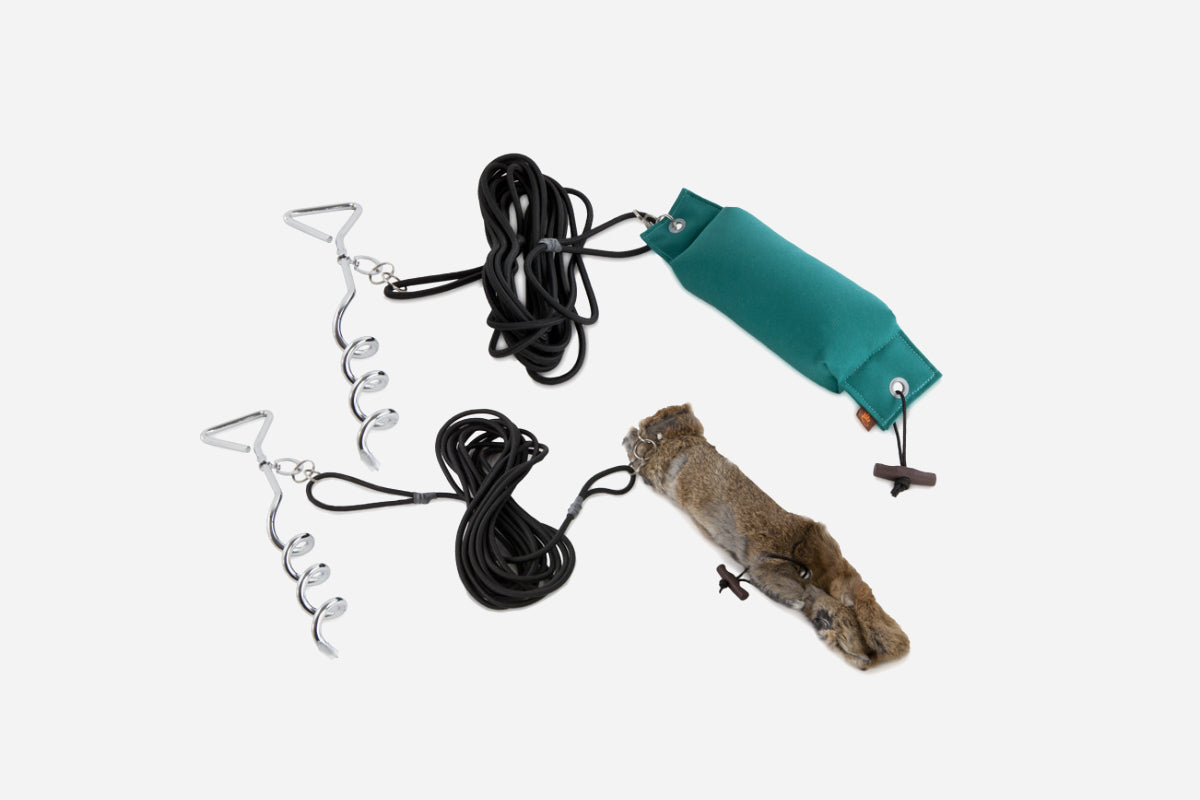 Dog Training Dummies