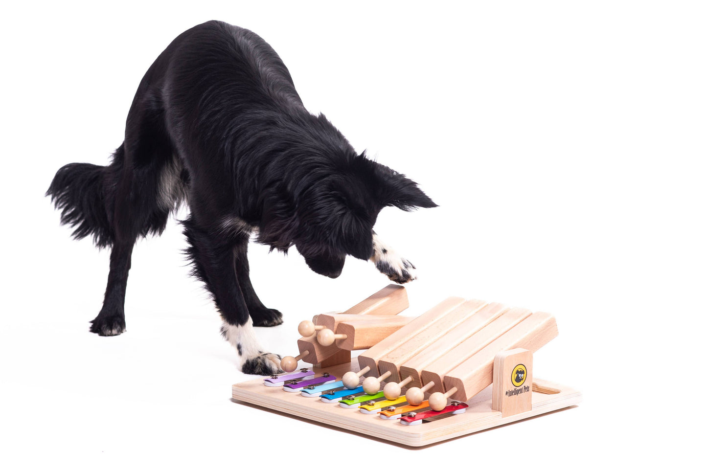 Piano Dog Puzzle | My Intelligent Dogs