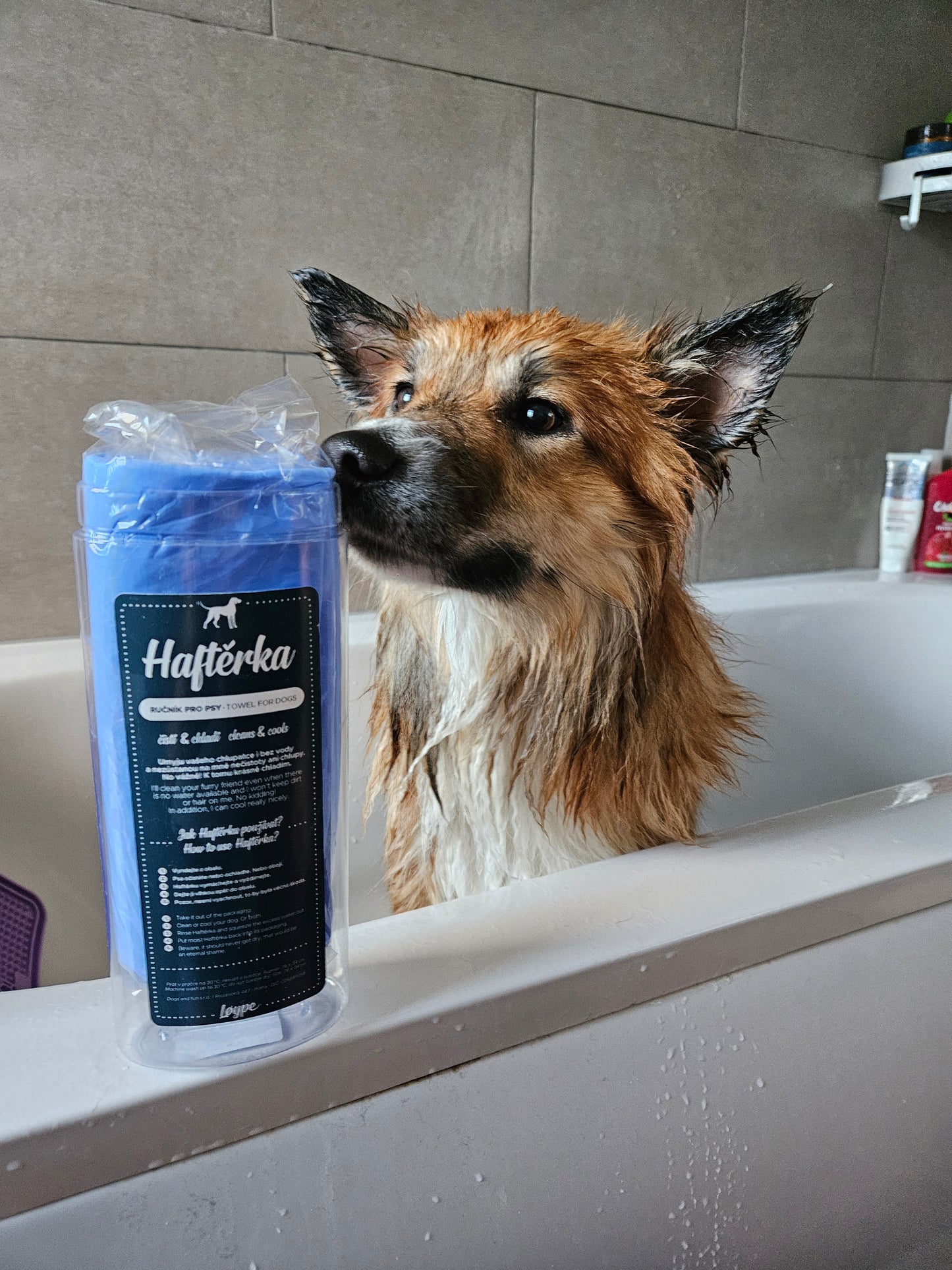 Soggy Doggy Towel & Cooling Mat | Loype