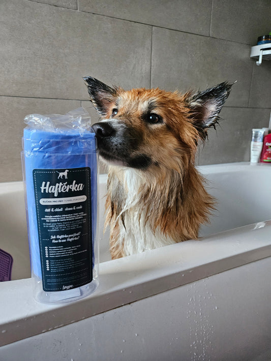 Soggy Doggy Towel & Cooling Mat | Loype