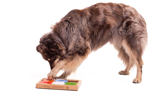 Sudoku Medium Advanced Color Puzzle | My Intelligent Dogs