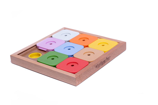 Sudoku Medium Expert Rainbow Puzzle | My Intelligent Dogs