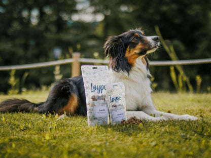 Natural Venison Dog Treats with Soft Texture | Bambi Bites