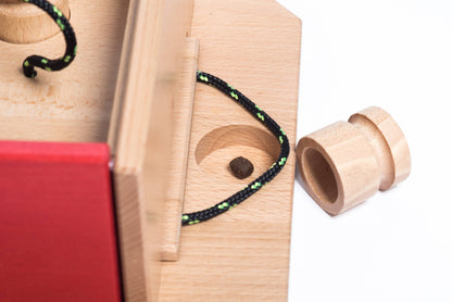 Swiss Qube Dog Puzzle | My Intelligent Dogs