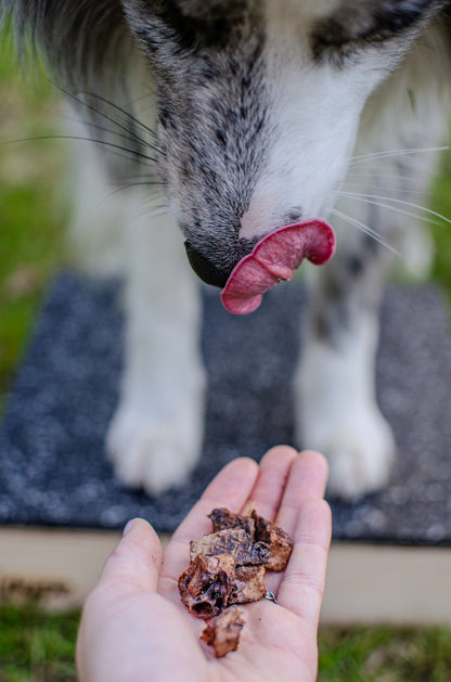 Single-Ingredient Dried Pork Lung Dog Treats | Dogshmallows