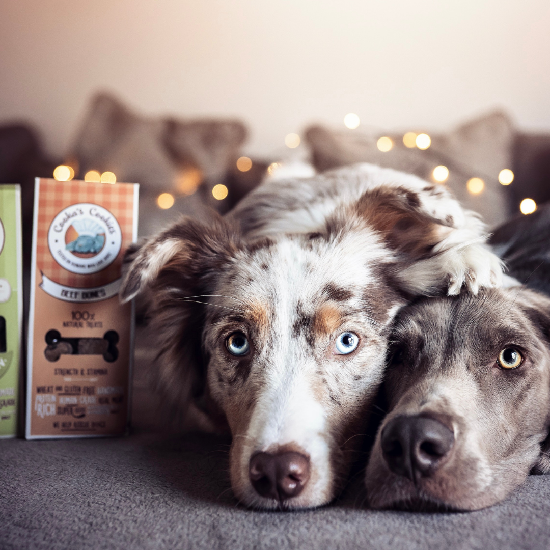 Dental Chews Dog Treats with Beef, Carrot and Beetroot | Beef Bones