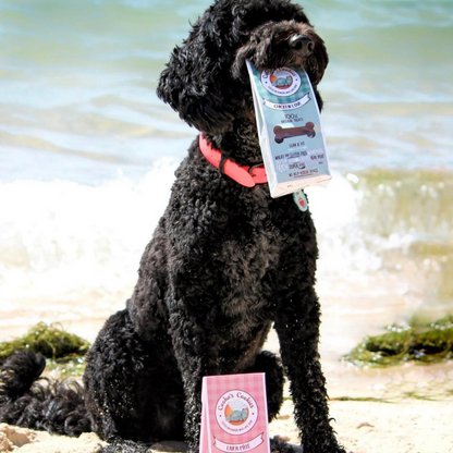 Human-Grade Baked Biscuits Dog Treats for Optimal Health | Chicken Love