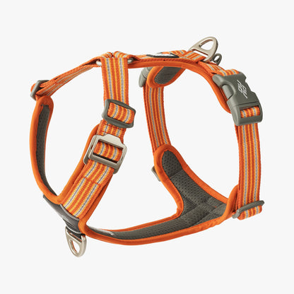 DOG Copenhagen Comfort Walk Air harness Wild Rose Orange Sun
