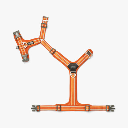 DOG Copenhagen Comfort Walk Air harness Wild Rose Orange Sun