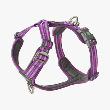 DOG Copenhagen Comfort Walk Air harness Wild Rose Purple Passion