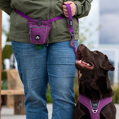 DOG Copenhagen Go Explore™ Treat Bag