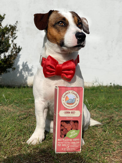 Dog Treats With Omega Seeds for Detox & Coat Health | Lisboa Beet