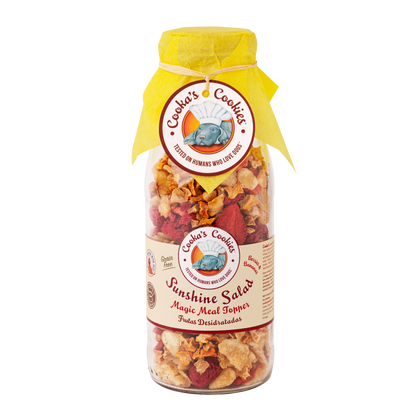 Natural Air-Dried Fruit Mix Dog Food Supplement | Sunshine Salad