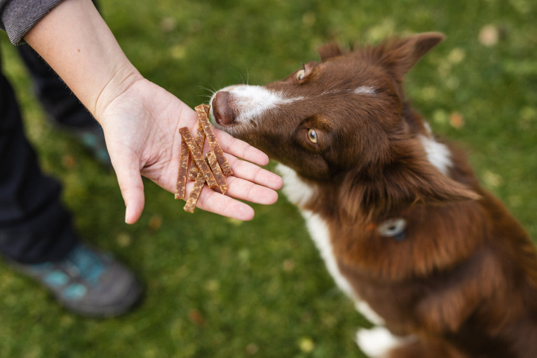 Air-dried soft turkey chunks dog treats in a bowl, hypoallergenic and perfect for training