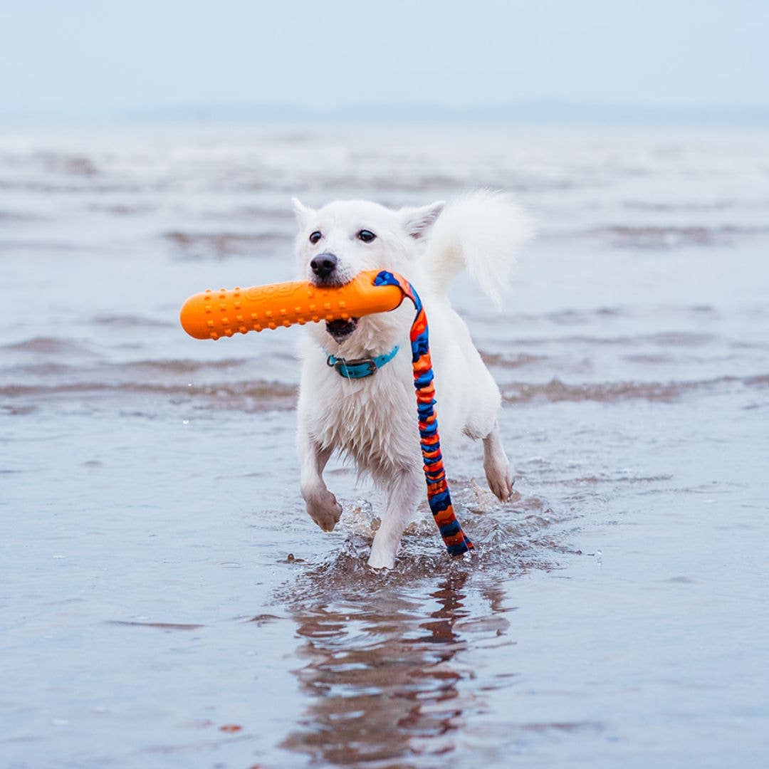 BOB 3‑in‑1 dummy dog toy that floats, tugs and fetches for water and land play