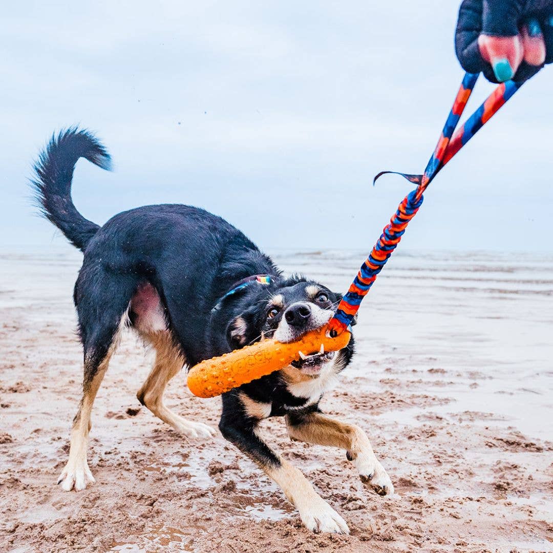 BOB 3‑in‑1 dummy dog toy that floats, tugs and fetches for water and land play
