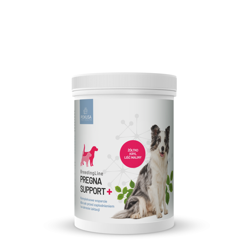 BreedingLine Pregna Support+ pregnancy and breeding nutritional supplement for dogs
