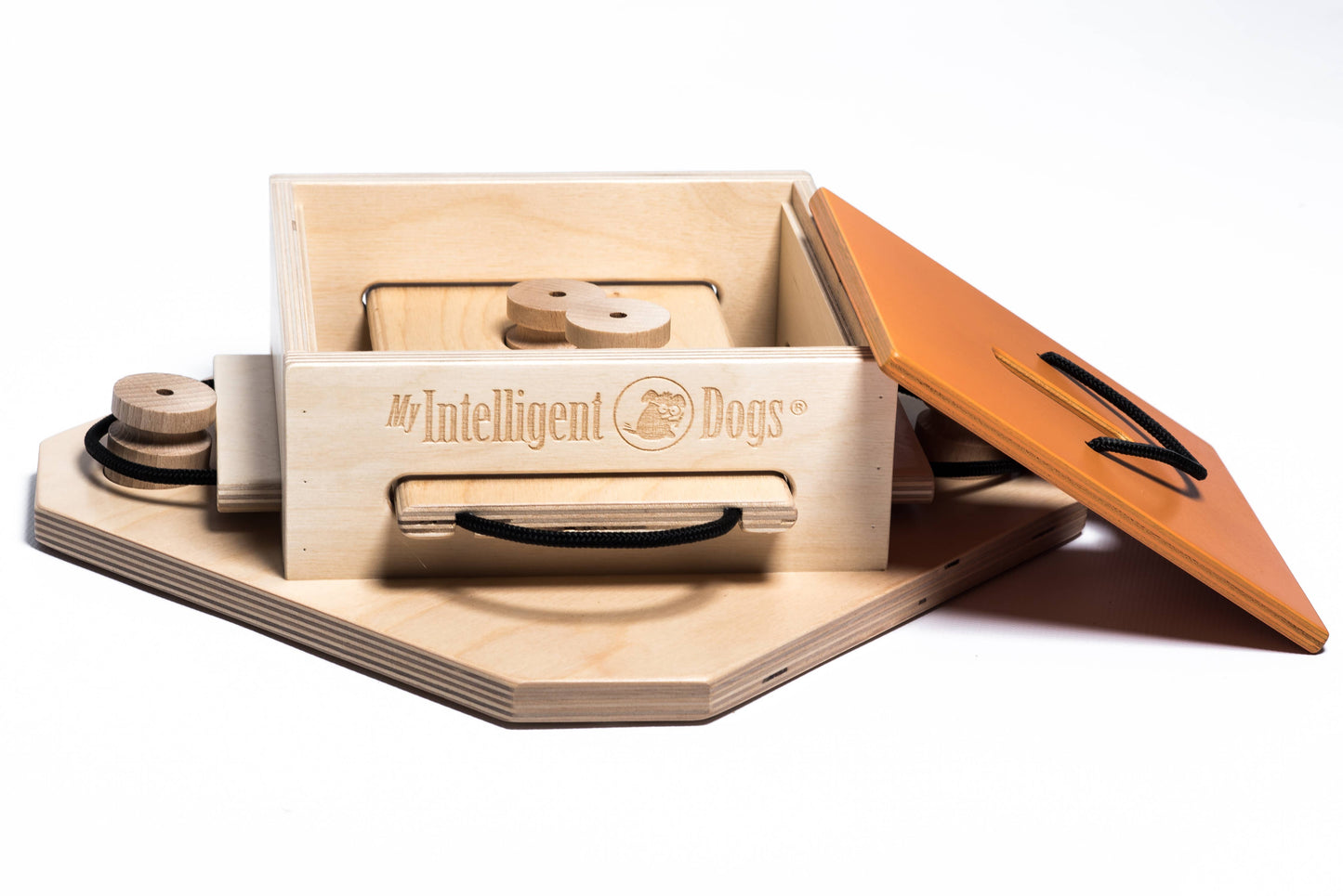 Trouble Dog Puzzle | My Intelligent Dogs