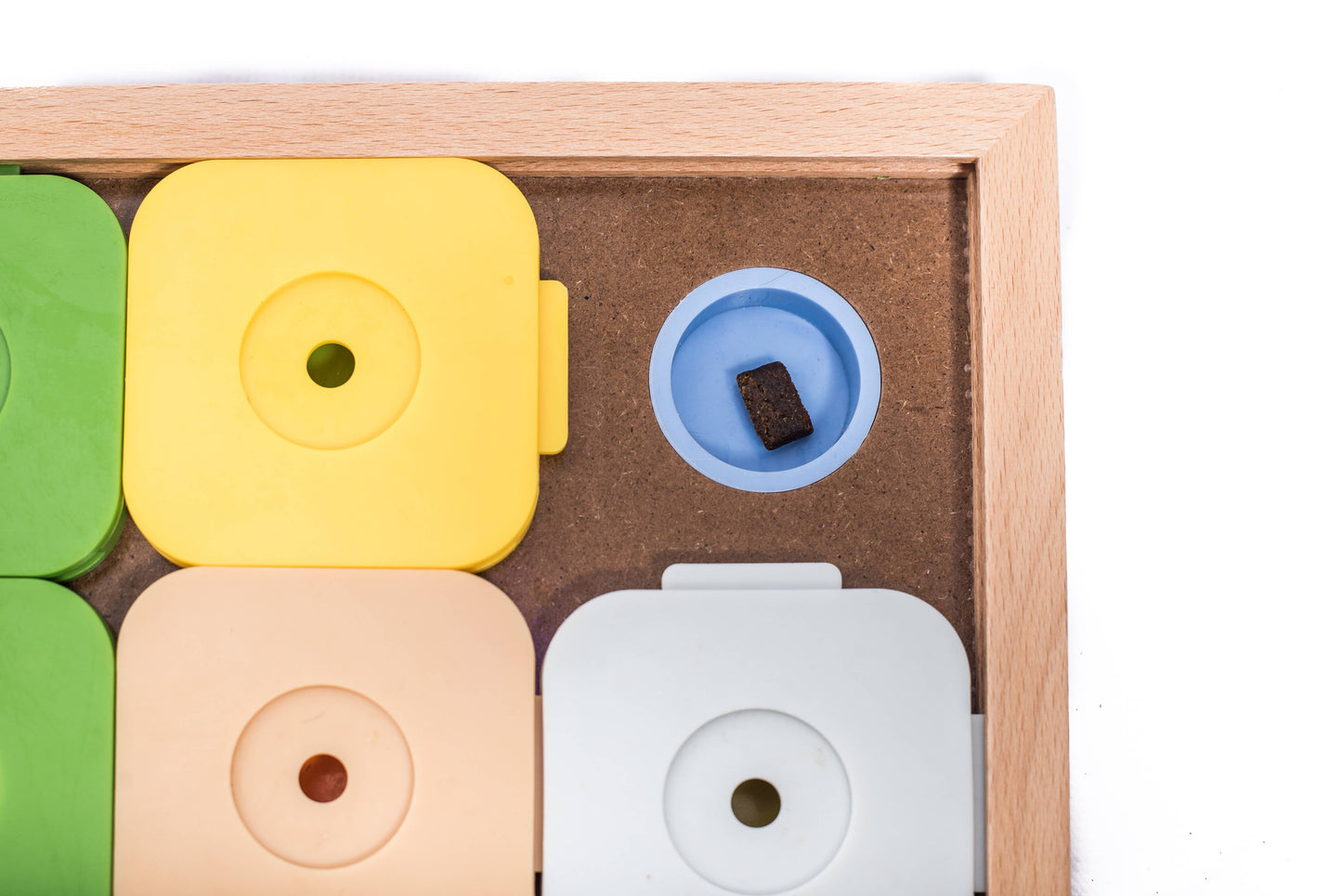 Sudoku Medium Genie Color Puzzle | My Intelligent Dogs