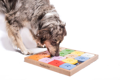 Sudoku Medium Genie Color Puzzle | My Intelligent Dogs