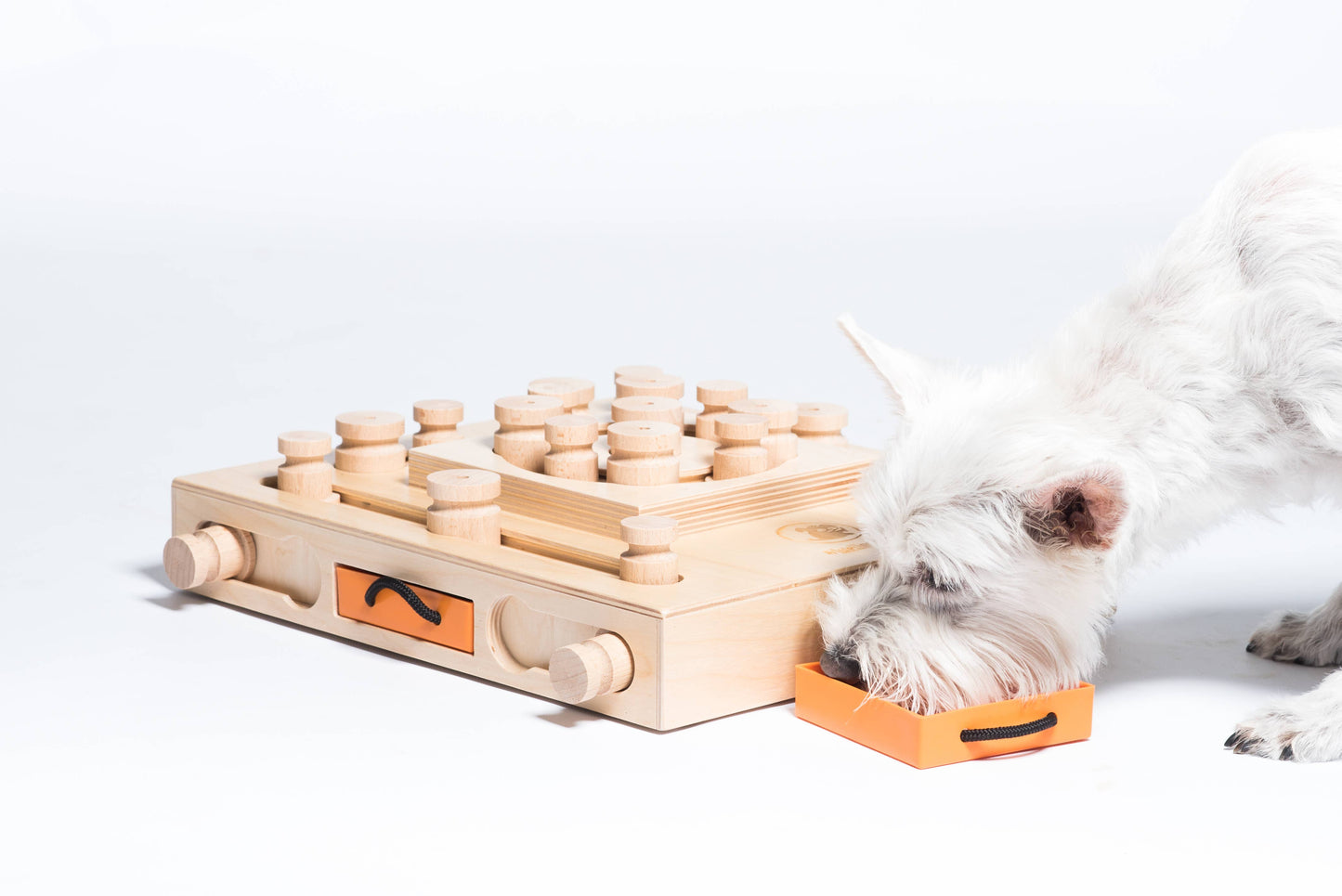 Turtle Dog Puzzle | My Intelligent Dogs
