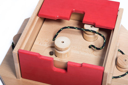 Swiss Qube Dog Puzzle | My Intelligent Dogs