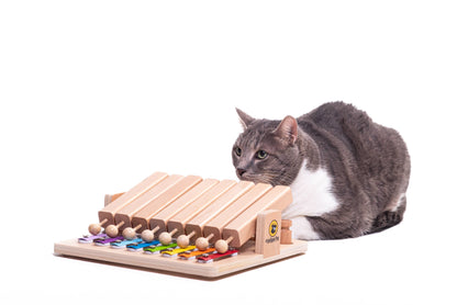 Piano Dog Puzzle | My Intelligent Dogs