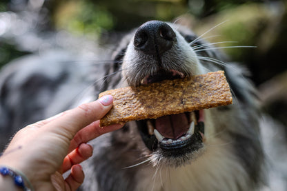 Chewy Goose Meat Strips Dog Treats for Dental Health | Quacky Strips