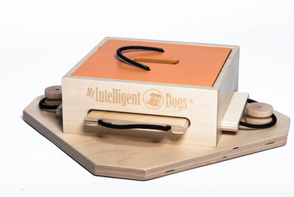 Trouble Dog Puzzle | My Intelligent Dogs